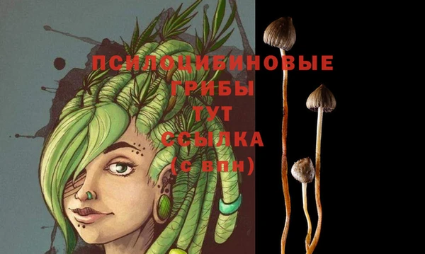 jwh Аркадак